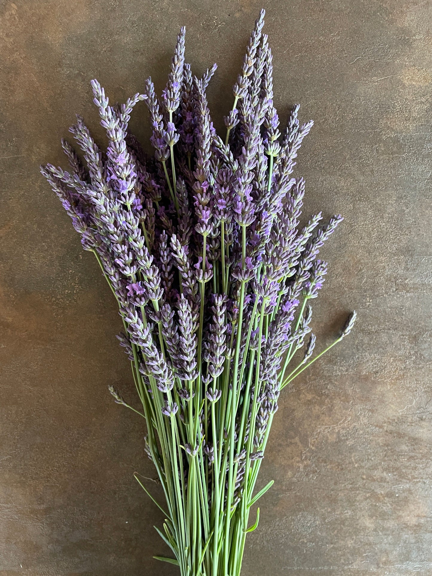 Šviežiai skintų levandų ryšulėlis – „Upės Pievų“ derlius