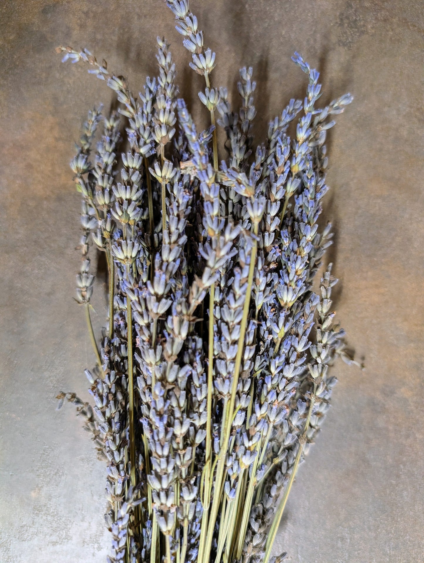 Džiovintų levandinų „Grosso“ ryšulėlis – „Upės Pievų“ derlius