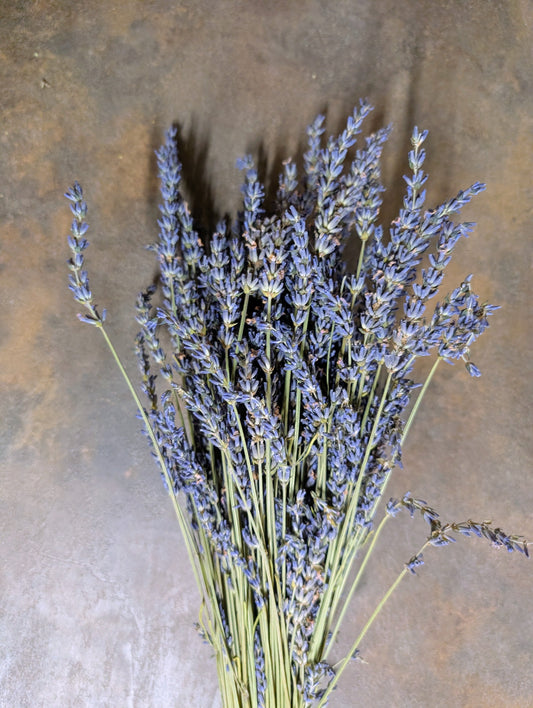 Džiovintų levandinų „Grosso“ ryšulėlis – „Upės Pievų“ derlius