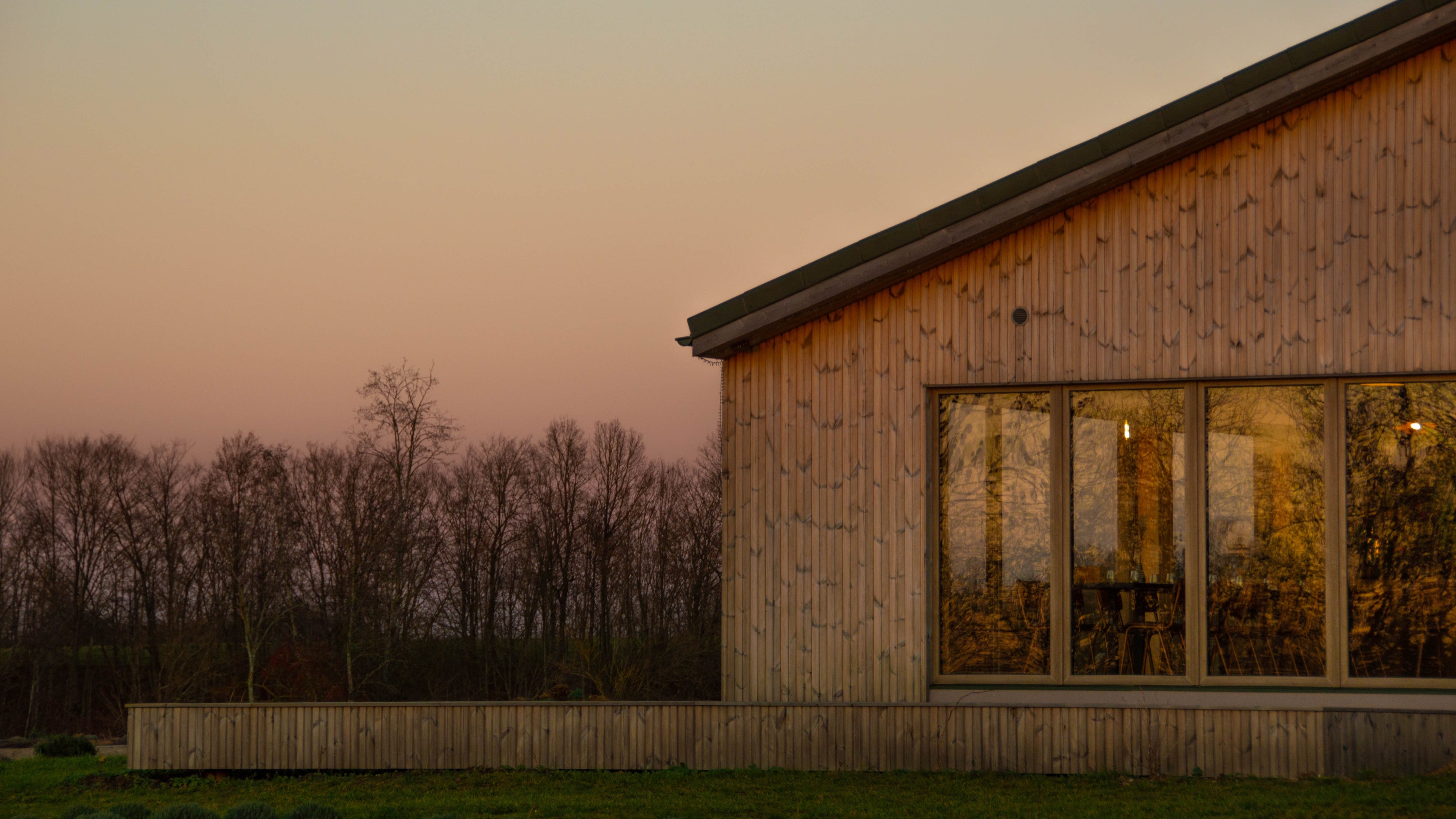 Levandų ūkis lavender farm