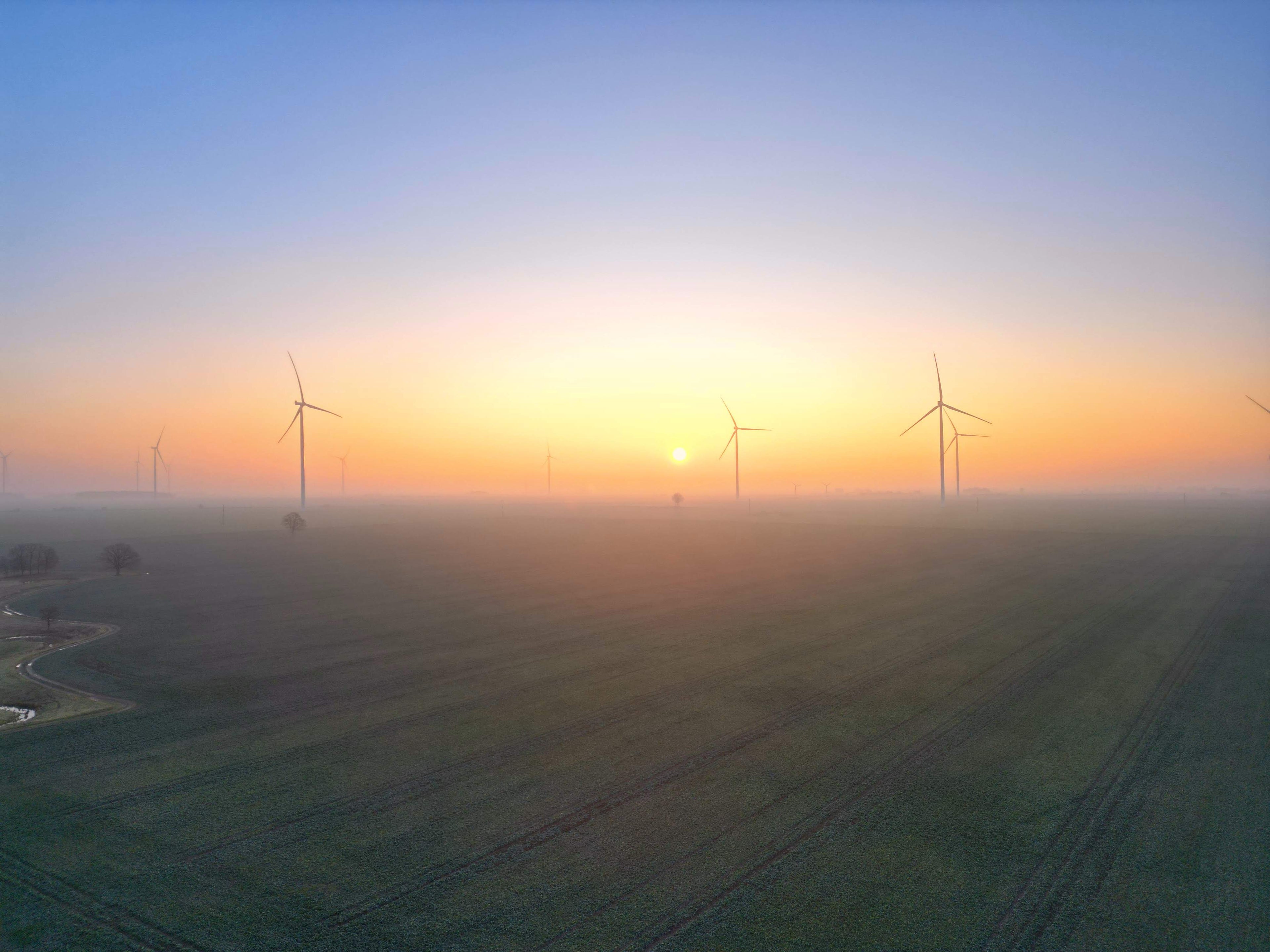 Ramūs levandų rytai