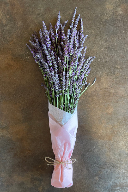 Šviežiai skintų levandų ryšulėlis – „Upės Pievų“ derlius