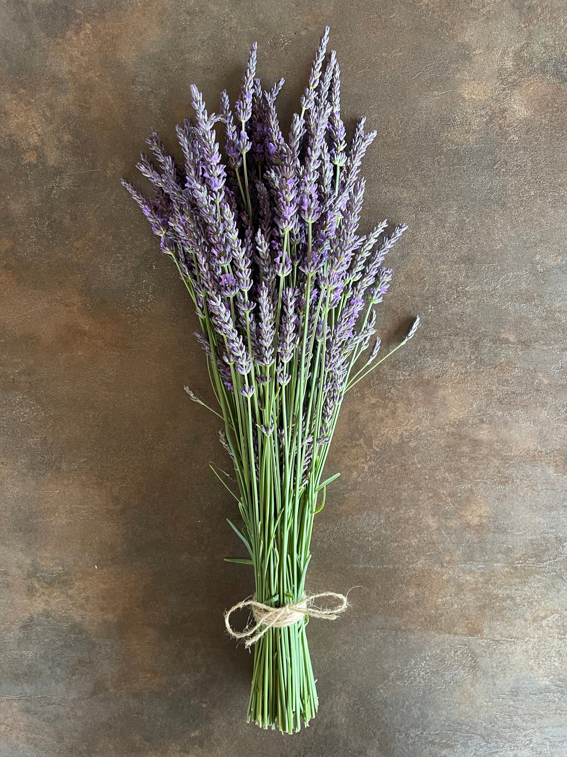 Šviežiai skintų levandų ryšulėlis – „Upės Pievų“ derlius