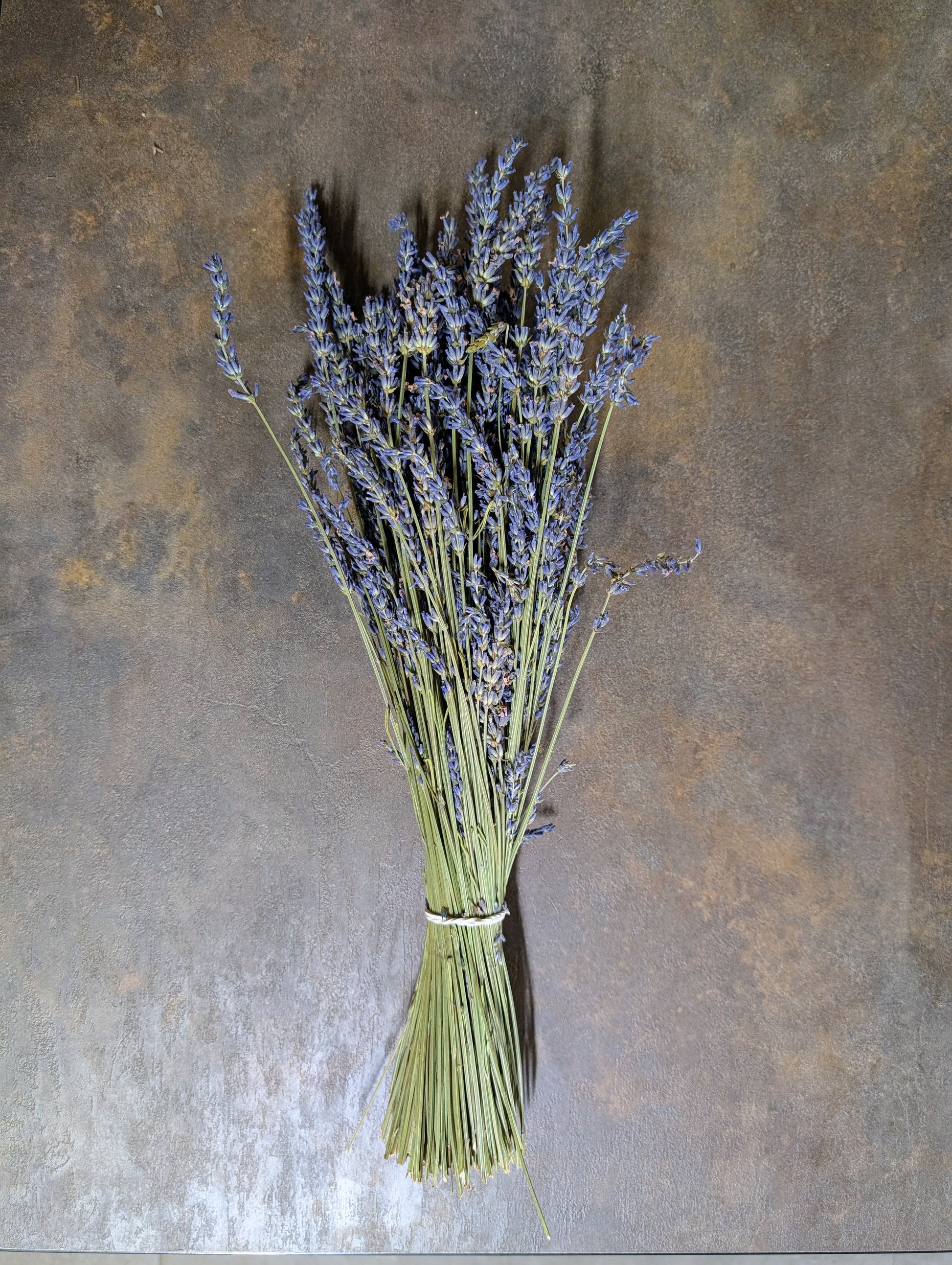 Džiovintų levandinų „Grosso“ ryšulėlis – „Upės Pievų“ derlius