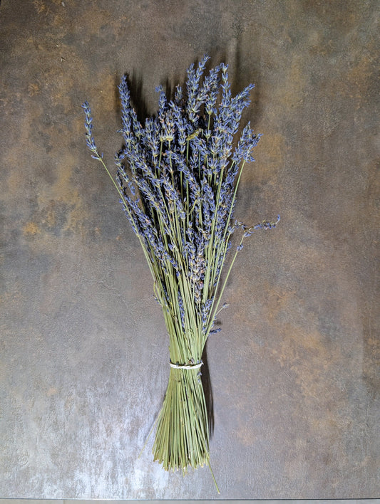 Džiovintų levandinų „Grosso“ ryšulėlis – „Upės Pievų“ derlius