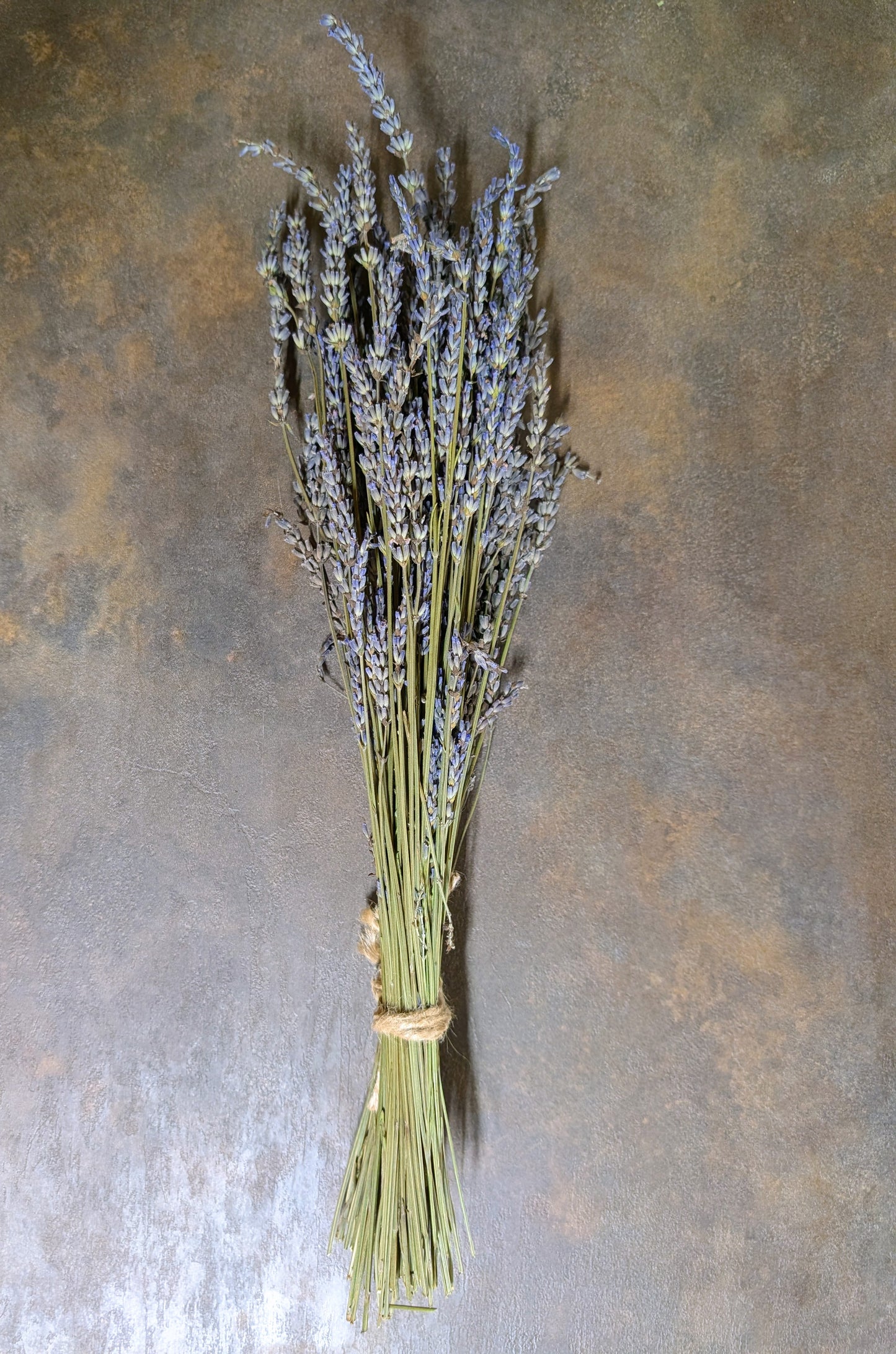 Džiovintų levandinų „Grosso“ ryšulėlis – „Upės Pievų“ derlius