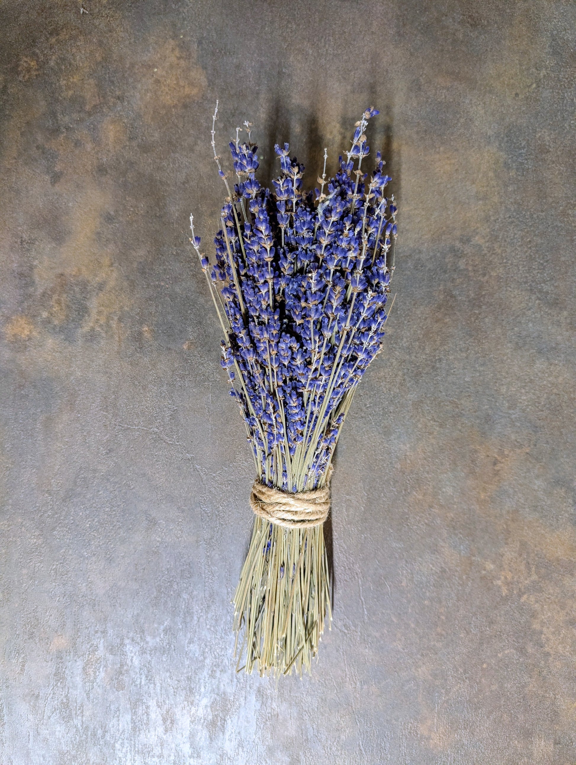 Džiovintų levandinų „Grosso“ ryšulėlis – „Upės Pievų“ derlius