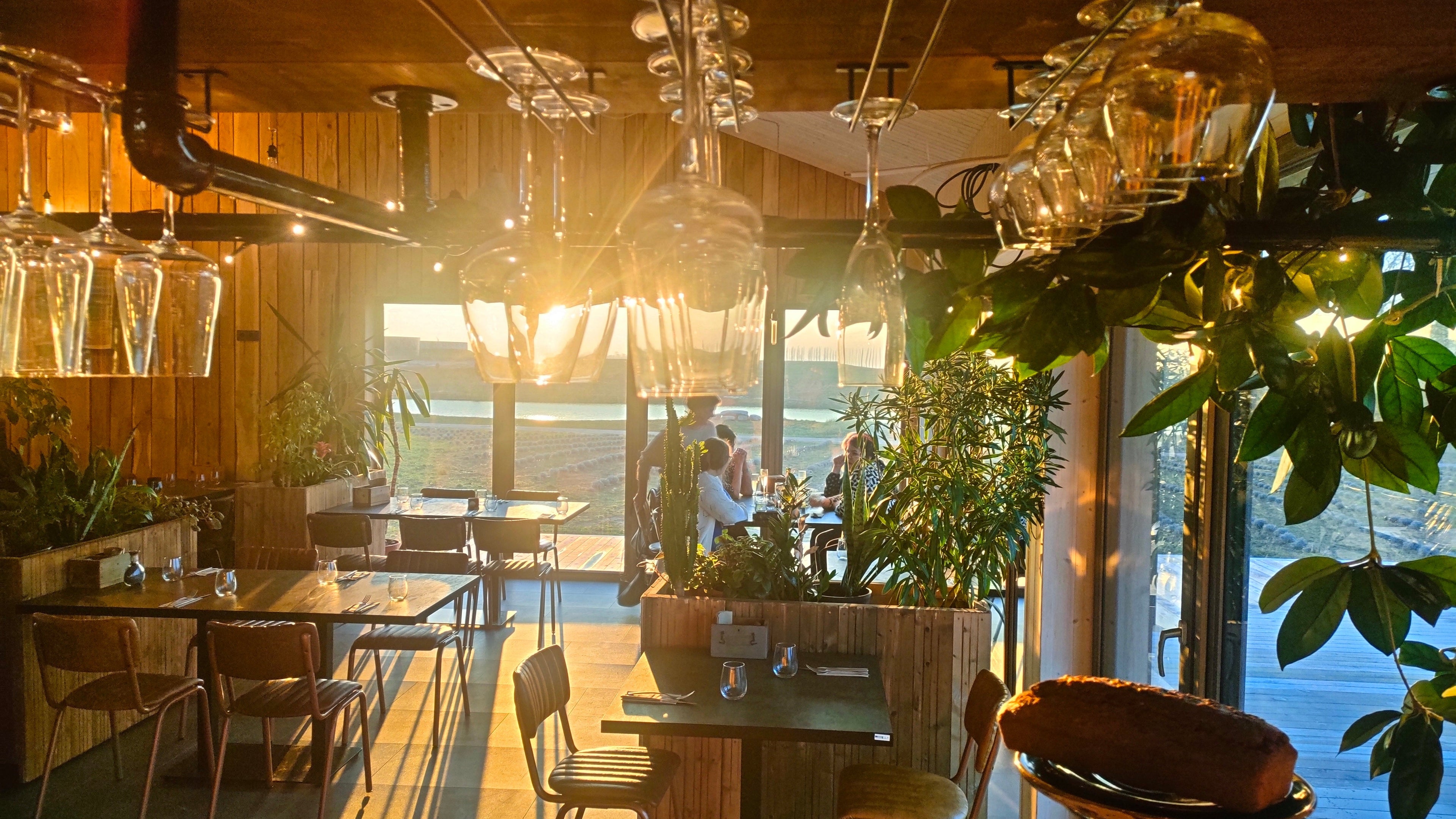 Šerno bistro ir Levandų laukai