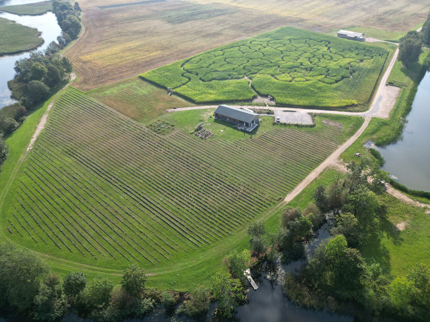 upes pievos ukis lavender field and cornmaze field from high showing the lake and river with areas for camping with either tents and campervans